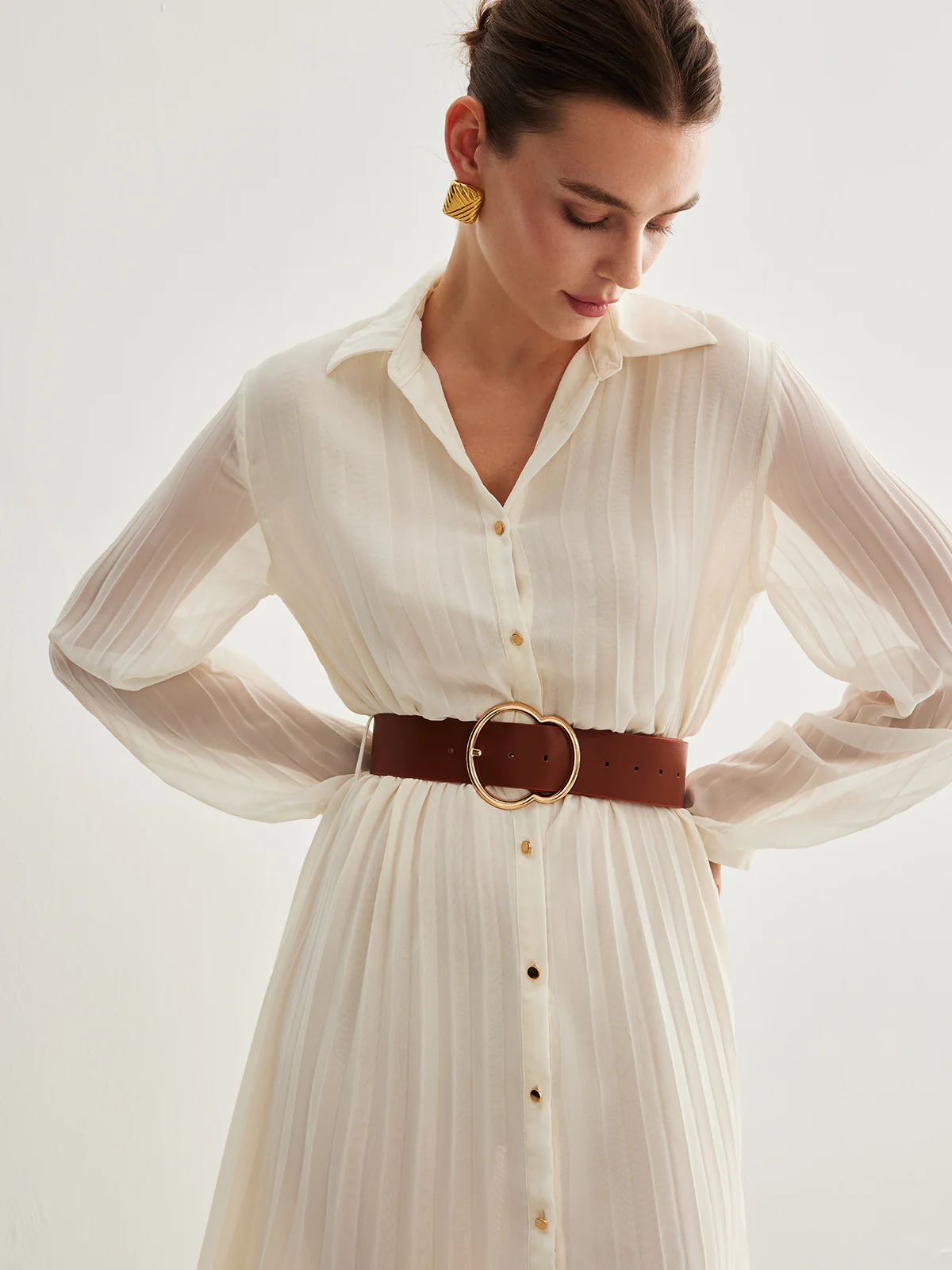 Semi-Sheer Chiffon Button Pleated Dress With Belt - Image 3
