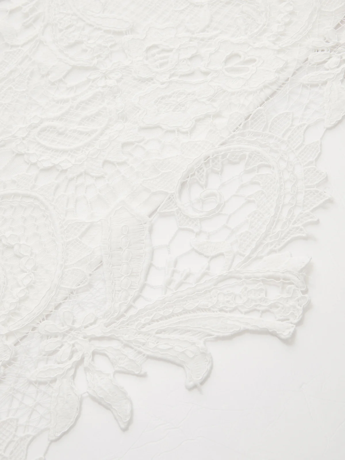 Lace-Back Cotton Short Sleeve Top - Image 5