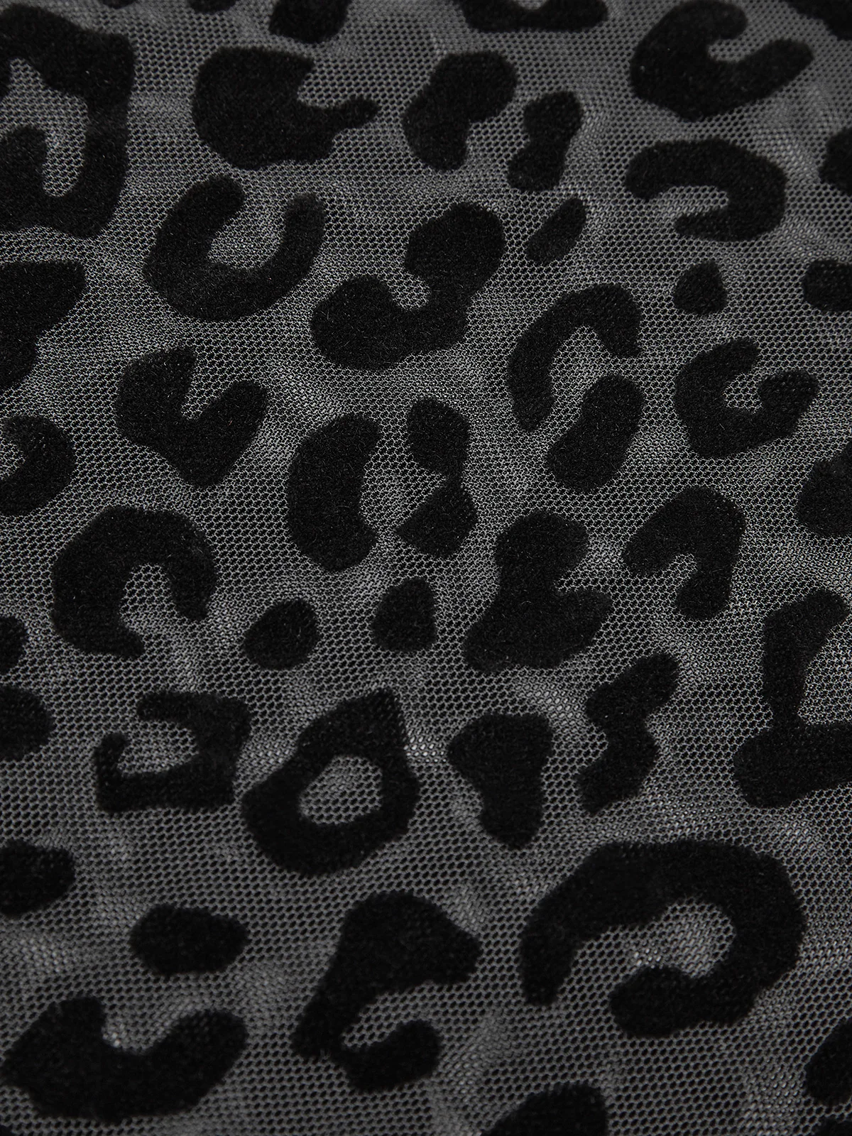 Leopard Printed Sheer T-Shirt - Image 4
