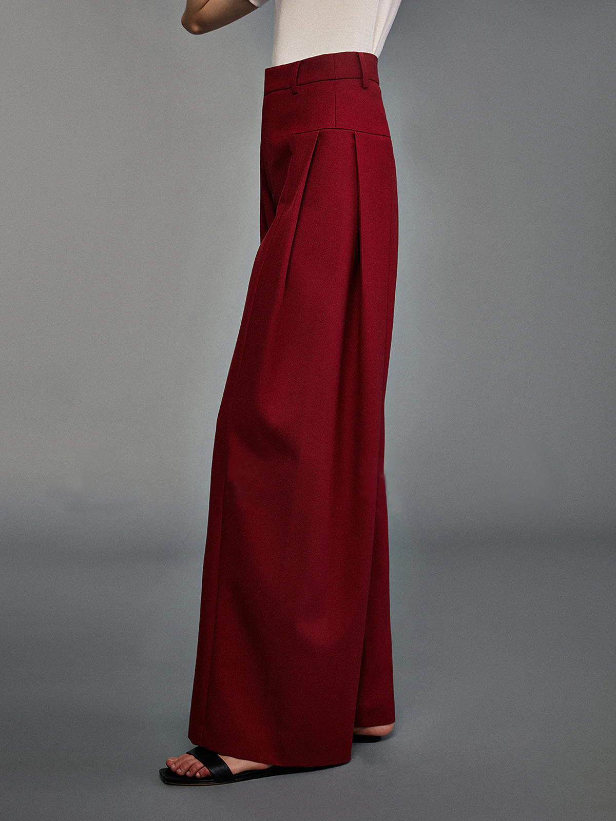 Pleated Wide-Leg Pants - Image 4