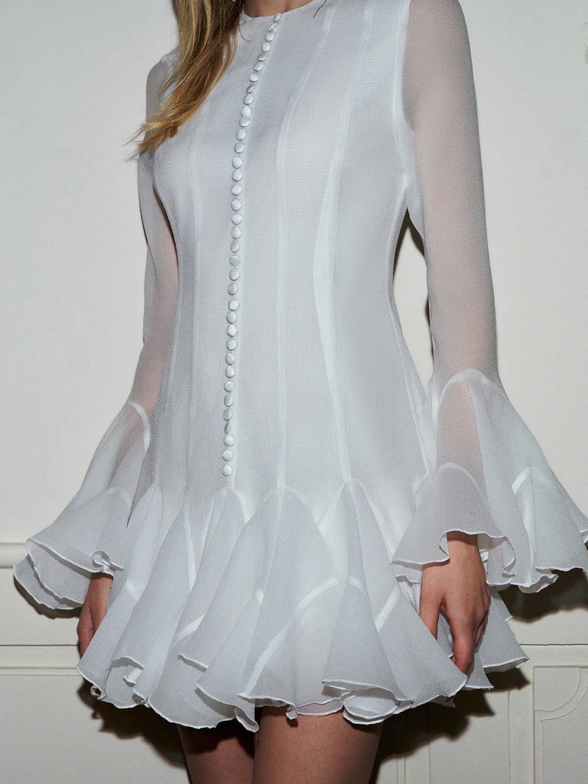 Romance Ruffle Sheer Dress - Image 7