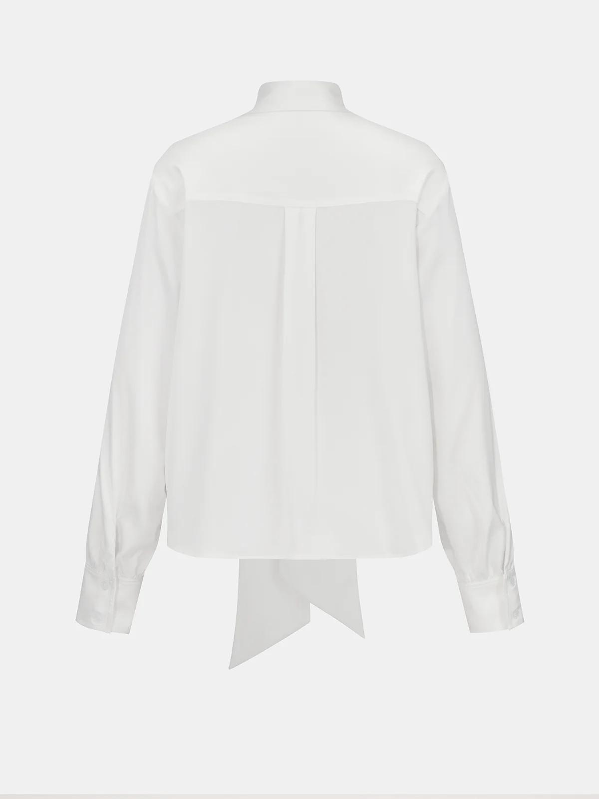 Semi-Sheer Satin Tie-Neck Long-Sleeve Blouse - Image 2