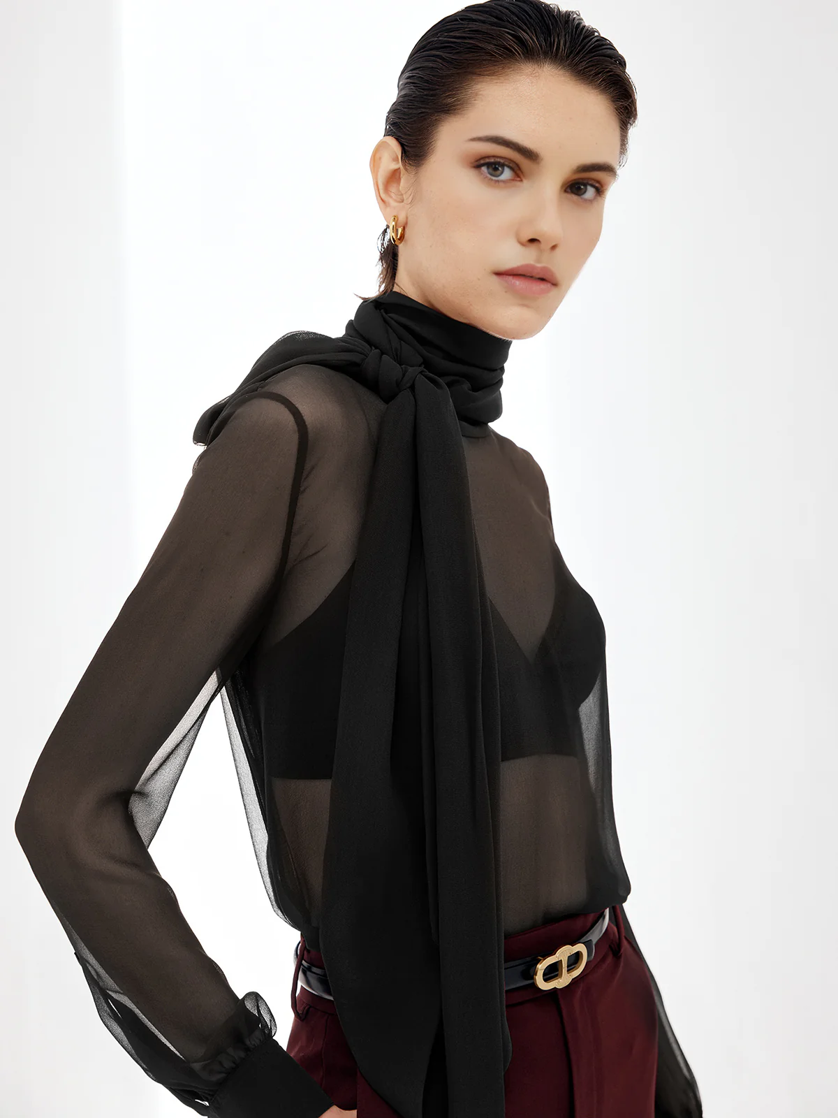 Sheer Bow Chiffon Blouse - Image 5