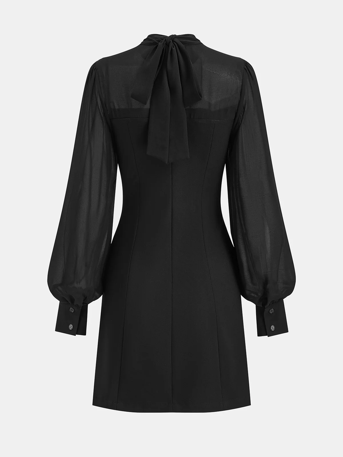 Sheer Chiffon Paneled A-Line Mini Dress - Image 2