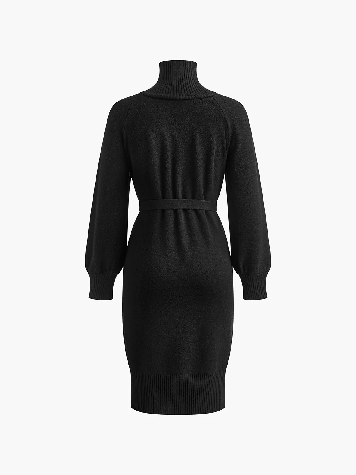 Turtleneck Button Belted Sweater Dress - Image 4